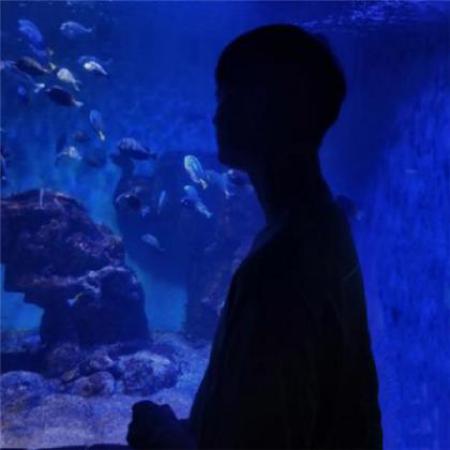 2025简单耐看头像唯美侧面情侣