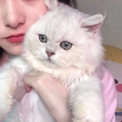 情头超甜超宠溺真人
