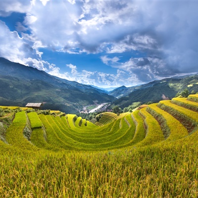 大自然风景微信头像