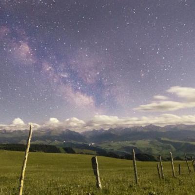 微信头像清新绿色自然风景图片