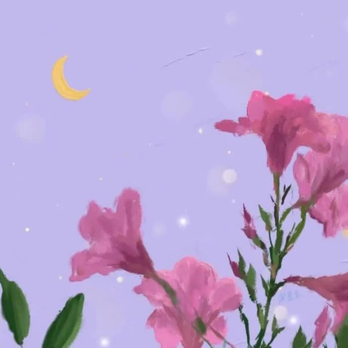 女人专用微信头像