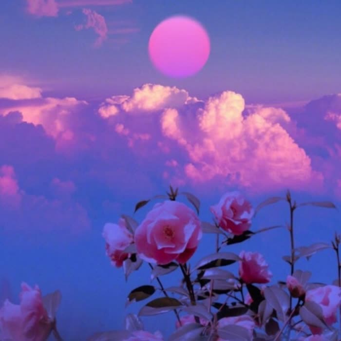 女人专用微信头像