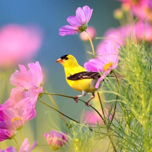 女人专用微信头像