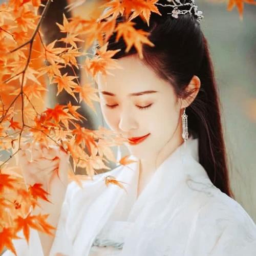 适合永久做头像的图片