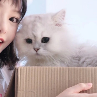 情侣加闺蜜头像