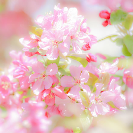 微信头像图片2025最火爆流行