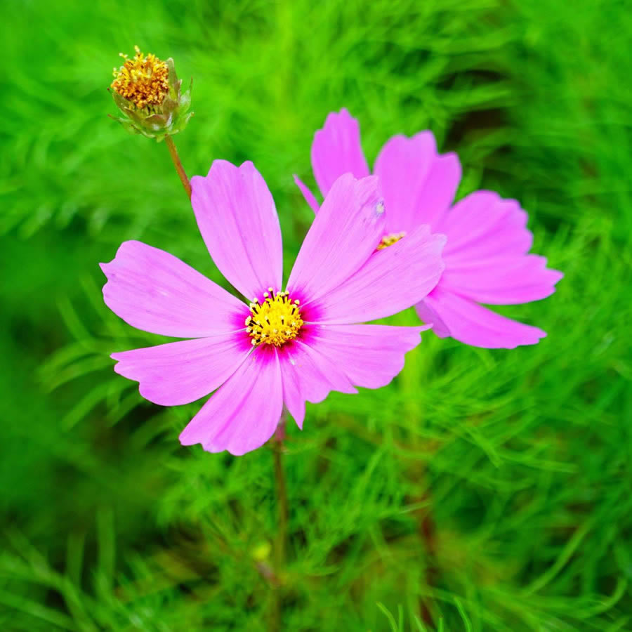 微信头像图片2025最火爆流行