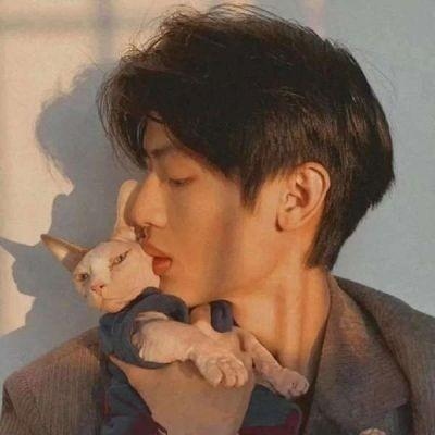 qq情侣头像高颜值优质图片