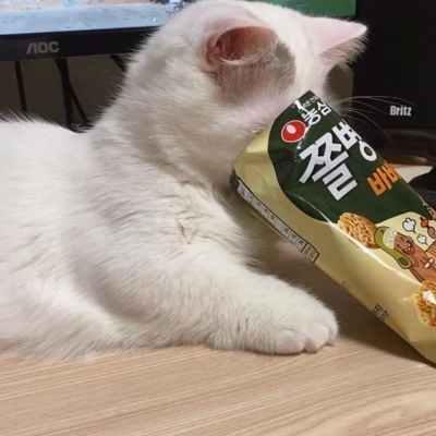 沙雕微信头像超可爱搞怪图片