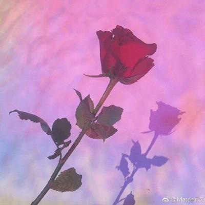 女性旺财旺运的微信头像