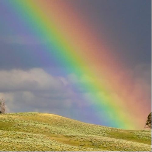 正能量微信头像图片