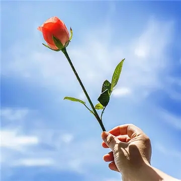 女性旺财旺运的微信头像