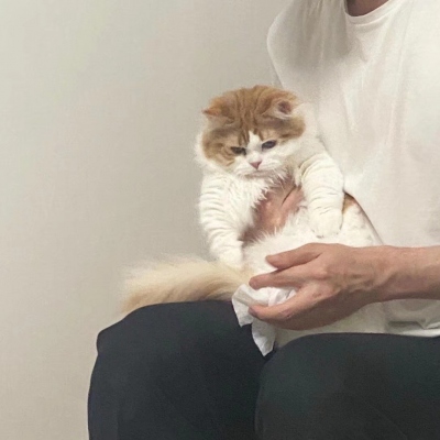 超有爱人抱萌宠头像图片