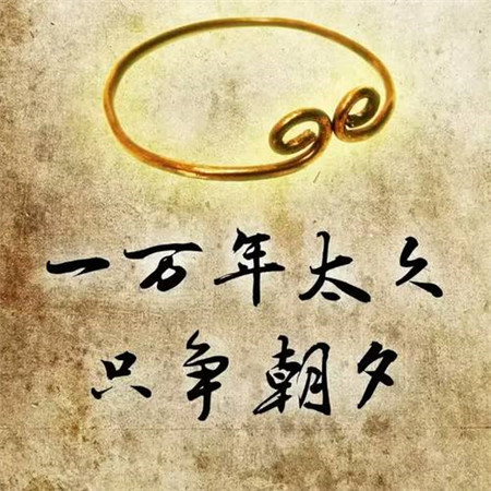 正能量微信头像图片