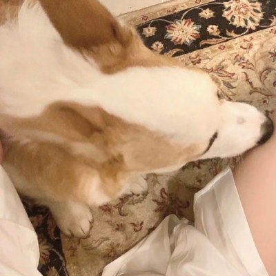 男友非人类系列情头