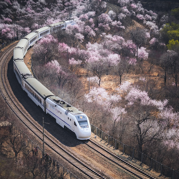头像微信风景2025年最新版图片