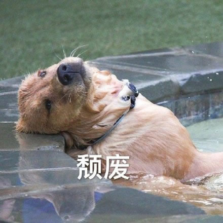 颓废堕落一看就让人心疼的微信头像