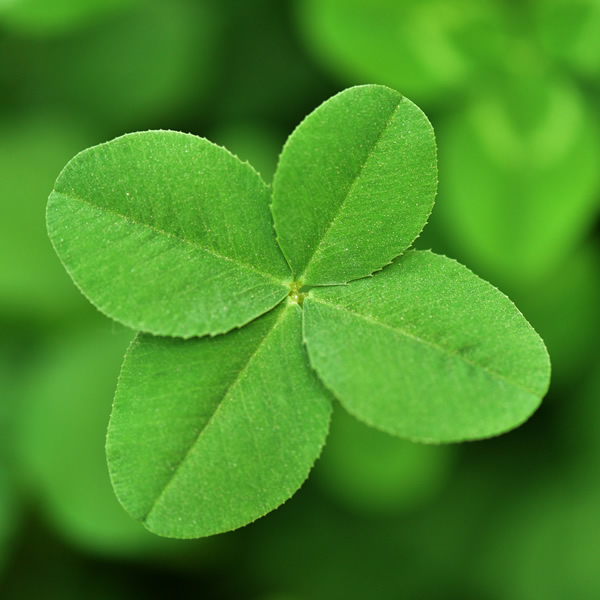 2026年适合永久用的头像图片