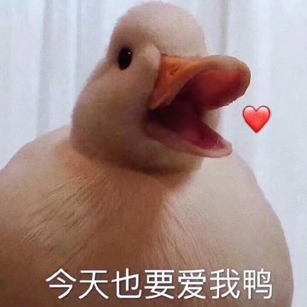 沙雕头像图片2025最火爆