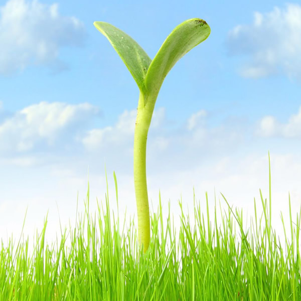 2026年适合永久用的头像图片