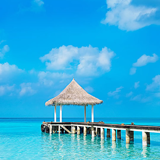 2026年适合永久用的头像图片