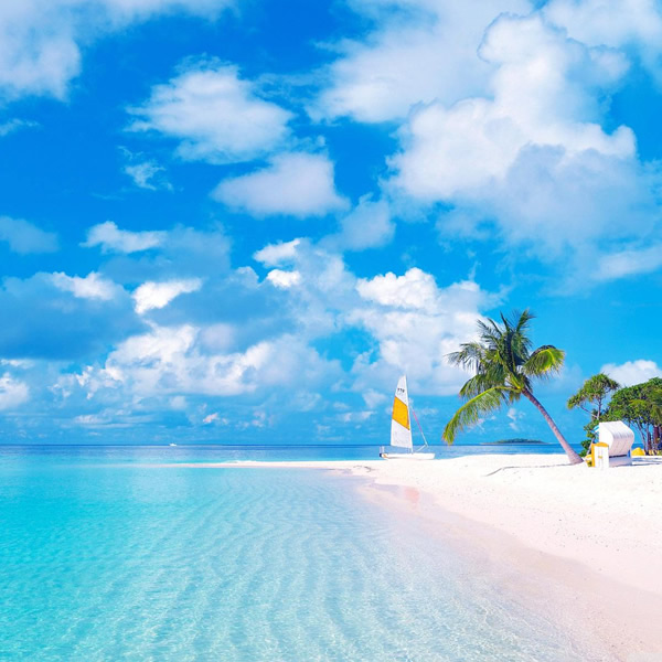 2026年适合永久用的头像图片