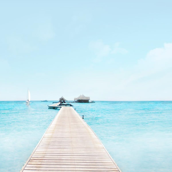 2026年适合永久用的头像图片