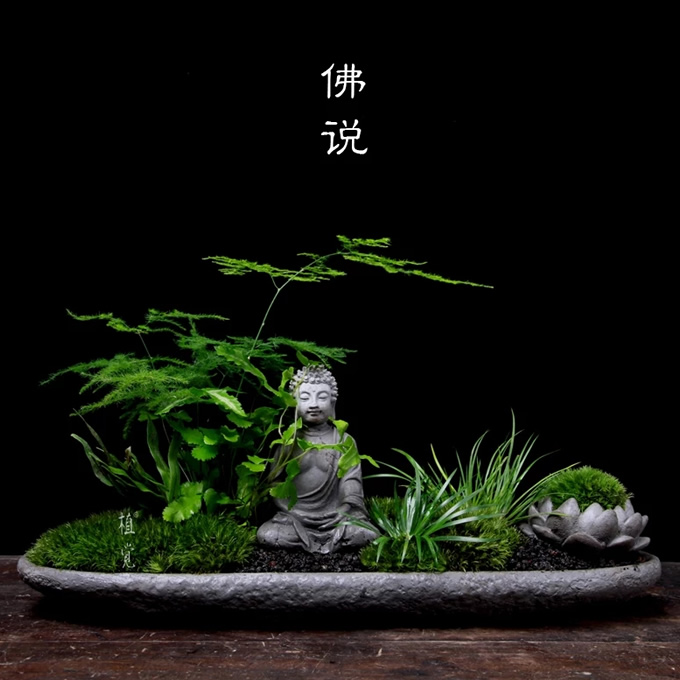 健康吉祥好运微信头像