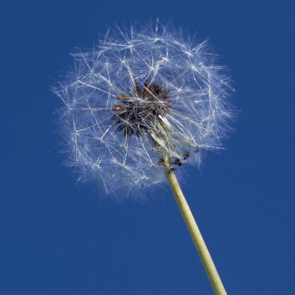 2026年适合永久用的头像图片