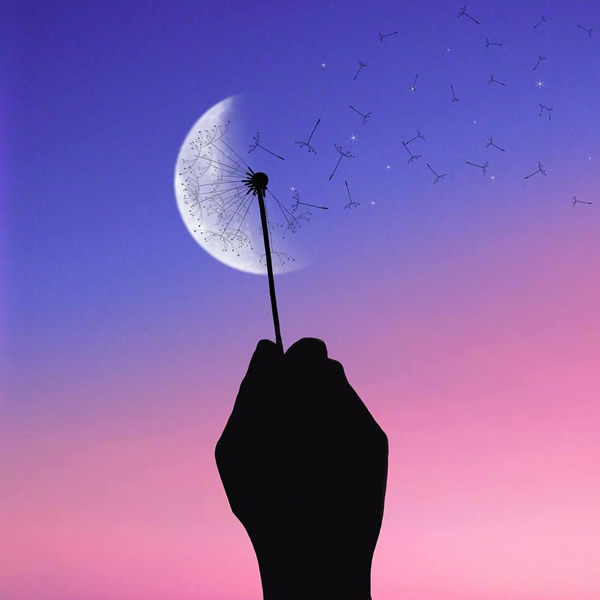 2026年适合永久用的头像图片