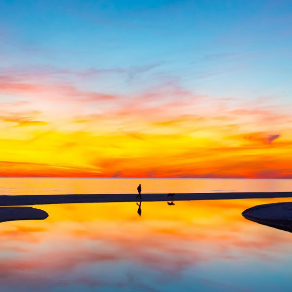 2026年适合永久用的头像图片