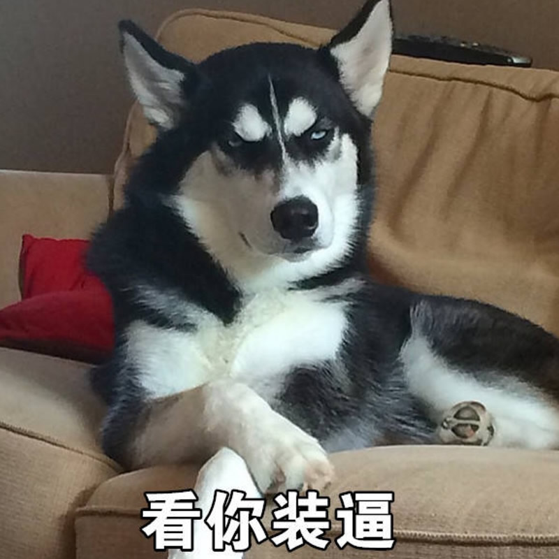 奇葩沙雕头像