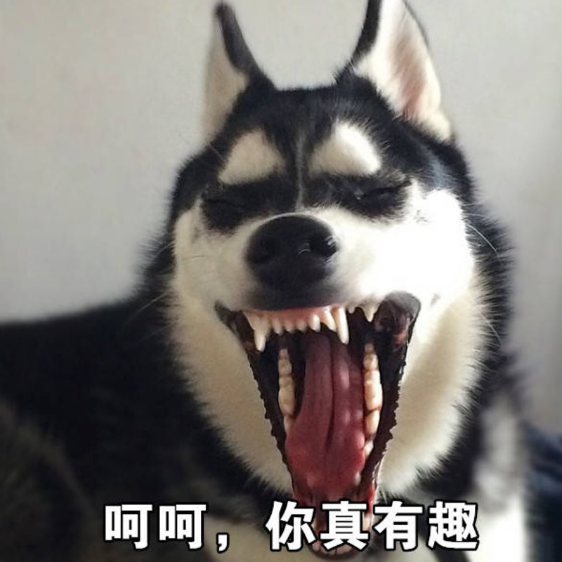奇葩沙雕头像