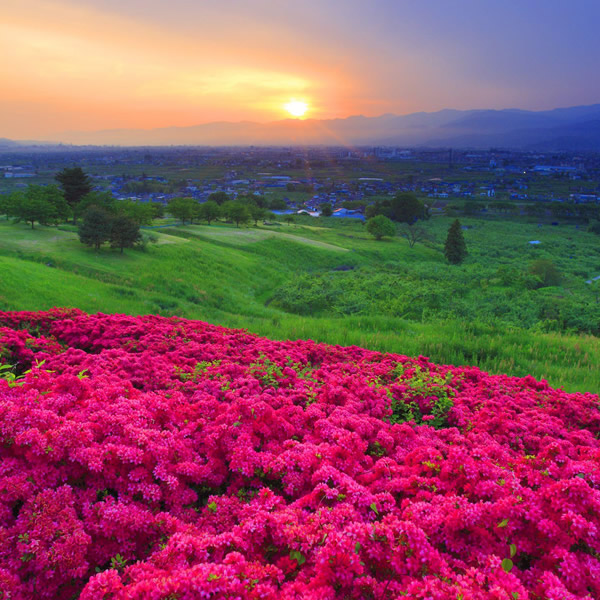 2026年适合永久用的头像图片