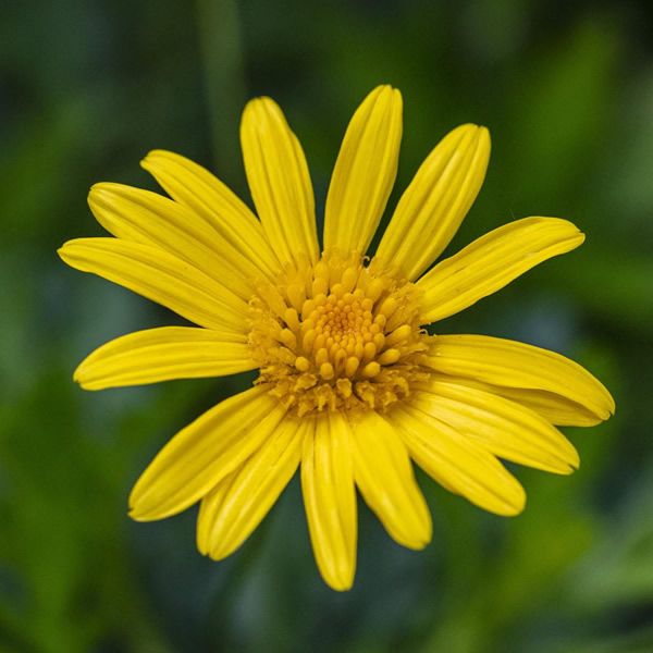 2026年适合永久用的头像图片