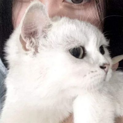 情头2025新款唯美独一无二图片