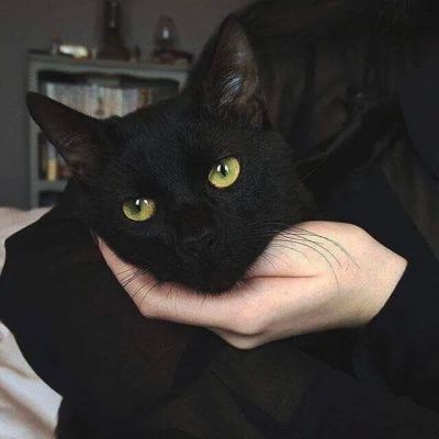 情侣头像两张配对好看