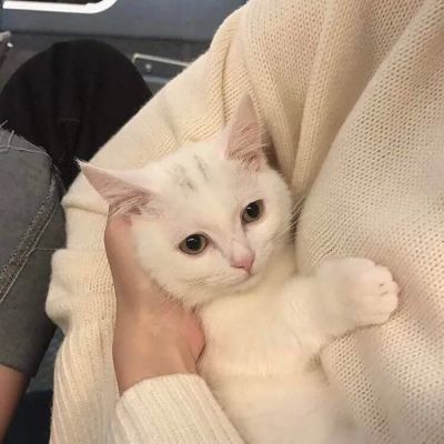 情侣头像两张配对好看