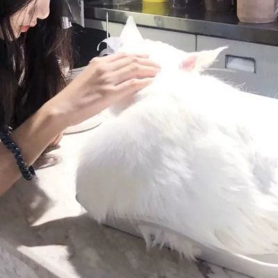 网上最火的情侣头像图片