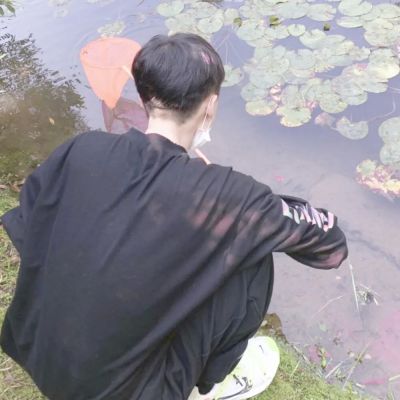 ins高质量情头真人无水印