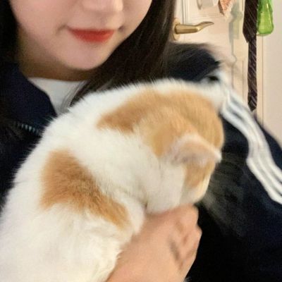 网上最火的情侣头像图片