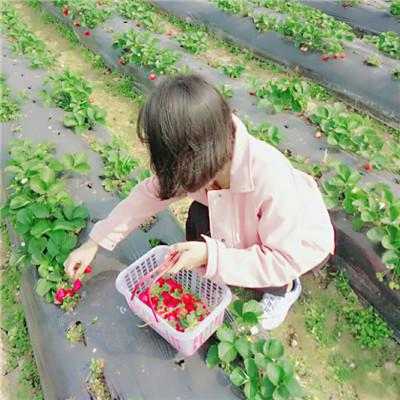 2025搞怪情侣头像一对
