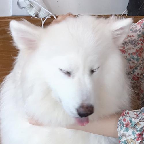 微信情侣头像唯美有意境一男一女图片
