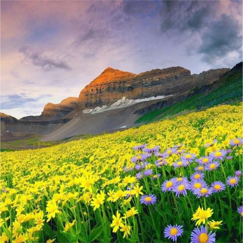 适合永久做头像的图片