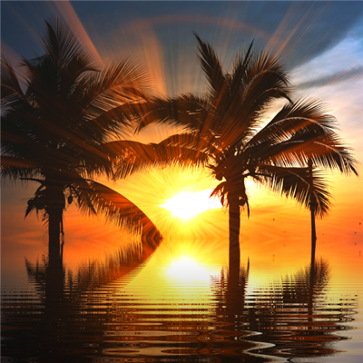 夕阳黄昏头像