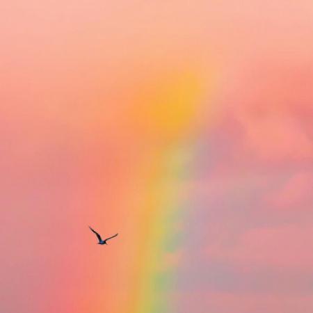 2026年聚财招财旺财微信头像