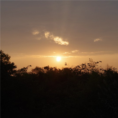 日出招财头像助转运