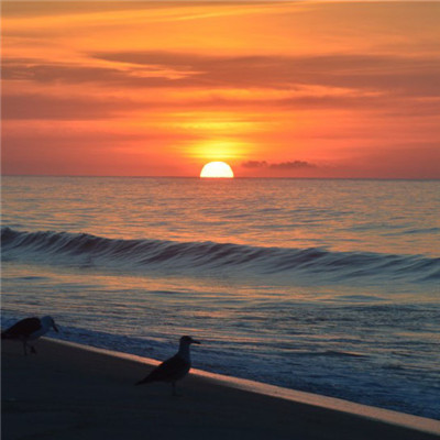 唯美海面日出日落风景头像