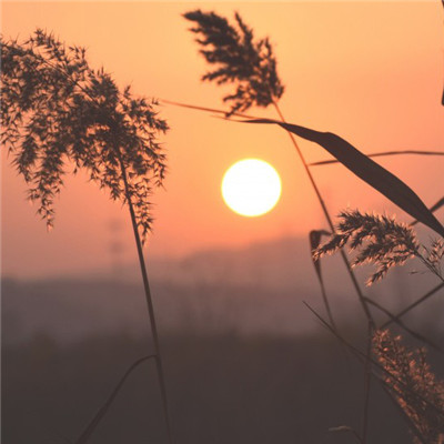 日出招财头像助转运