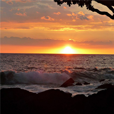 日出招财头像助转运